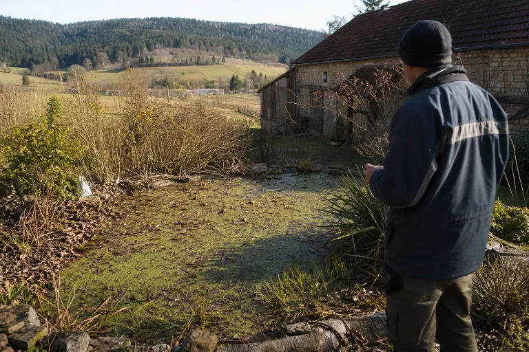 Replantation des berges d'une mare en Bourgogne-Franche-Comté